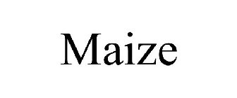 MAIZE