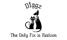 DIGGZ THE ONLY FIX IS FASHION