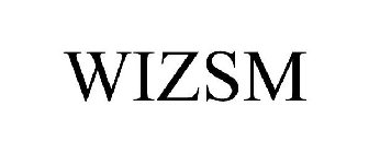 WIZSM