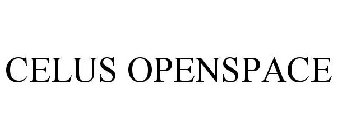 CELUS OPEN SPACE