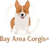 BAY AREA CORGIS
