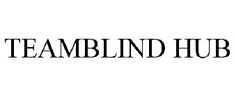 TEAMBLIND HUB