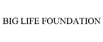 BIG LIFE FOUNDATION