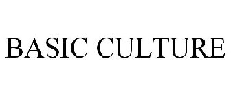 BASIC CULTURE