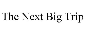 THE NEXT BIG TRIP