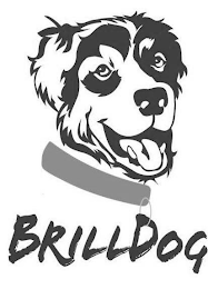 BRILLDOG