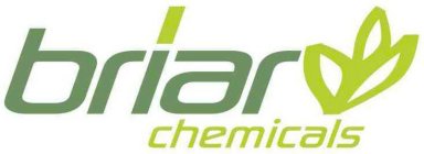 BRIAR CHEMICALS