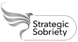 STRATEGIC SOBRIETY