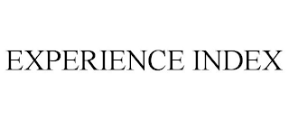 EXPERIENCE INDEX