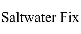 SALTWATER FIX