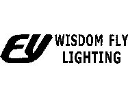 FY WISDOM FLY LIGHTING