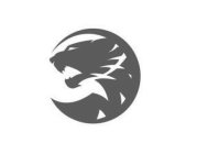 Image Trademark