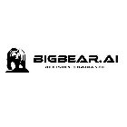 BIGBEAR.AI DECISION DOMINANCE