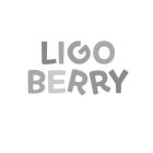 LIGO BERRY
