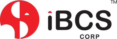 IBCS CORP
