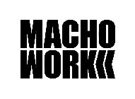 MACHO WORK