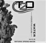 T2O WATER HYDRATE THE CULTURE NATURAL SPRING WATER 16.9 FL OZ