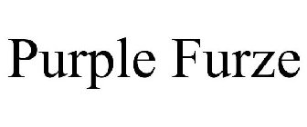 PURPLE FURZE