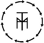 THYM