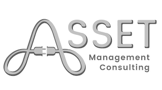 ASSET MANAGEMENT CONSULTING