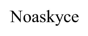 NOASKYCE