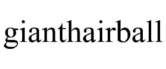 GIANTHAIRBALL
