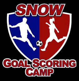 SNOW GOAL SCORING CAMP