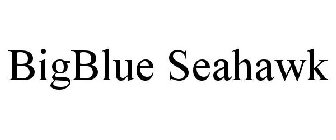 BIGBLUE SEAHAWK