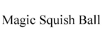 MAGIC SQUISH BALL
