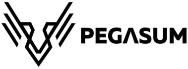 PEGASUM