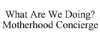 WHAT ARE WE DOING? MOTHERHOOD CONCIERGE