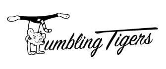 TUMBLING TIGERS