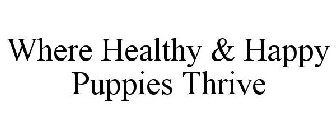 WHERE HEALTHY & HAPPY PUPPIES THRIVE