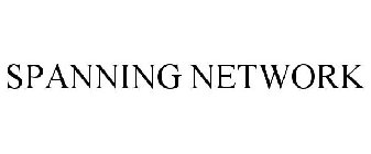 SPANNING NETWORK