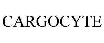 CARGOCYTE