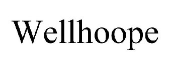 WELLHOOPE