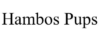 HAMBOS PUPS