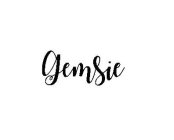 GEMSIE