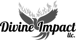 DIVINE IMPACT LLC.