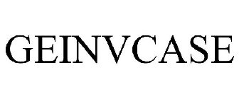 GEINVCASE