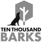 TEN THOUSAND BARKS