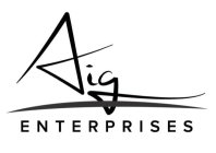 AIG ENTERPRISES