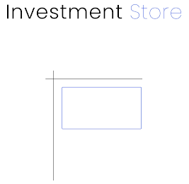 INVESTMENT STORE