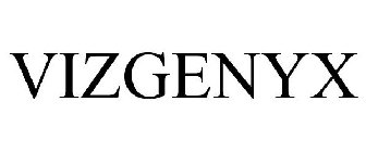 VIZGENYX