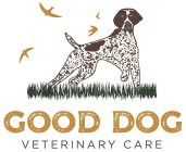 GOOD DOG VETERINARY CARE