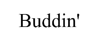 BUDDIN'