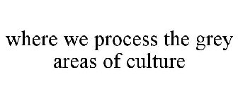 WHERE WE PROCESS THE GREY AREAS OF CULTURE