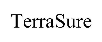 TERRASURE