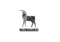VALENSALUCCI