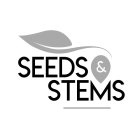 SEEDS & STEMS